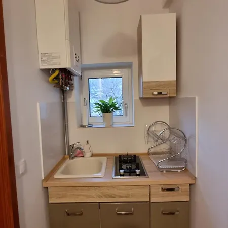 Toma Boutique Braşov