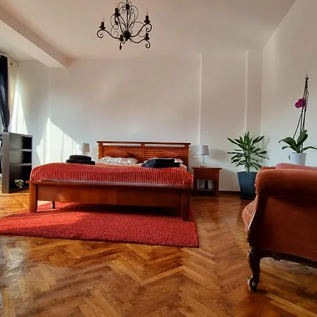 Toma Boutique Braşov